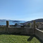 Vista فيلة