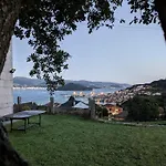 Vista فيلة