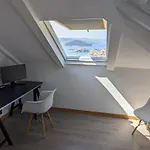 Vista فيلة *